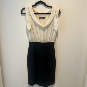 Club Monaco Dress